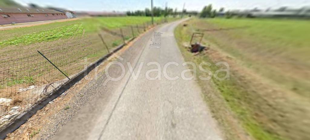 terreno agricolo in vendita ad Isorella