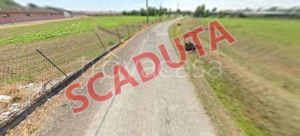 terreno agricolo in vendita ad Isorella