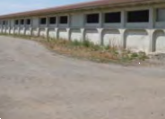 azienda agricola in vendita ad Isorella