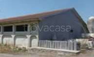 azienda agricola in vendita ad Isorella