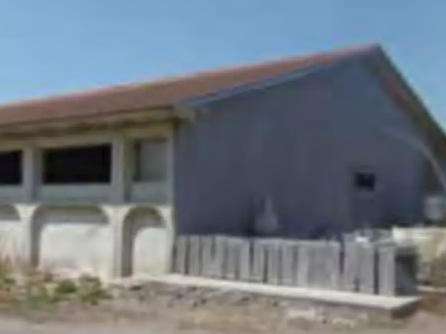 azienda agricola in vendita ad Isorella