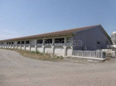 azienda agricola in vendita ad Isorella