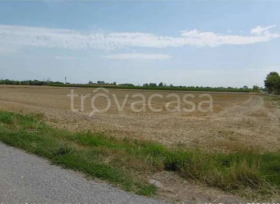 terreno agricolo in vendita ad Isorella