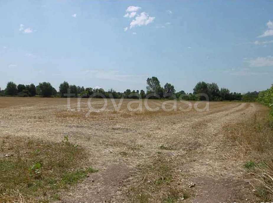 terreno agricolo in vendita ad Isorella