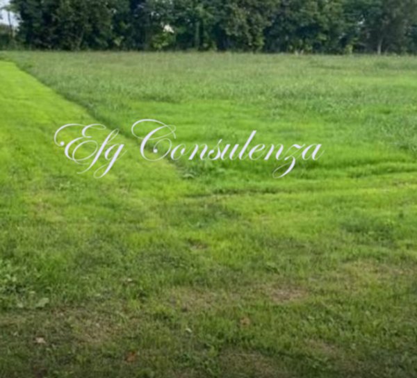 terreno in vendita ad Isorella