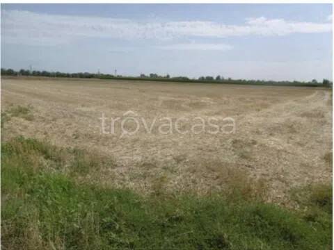 terreno in vendita ad Isorella