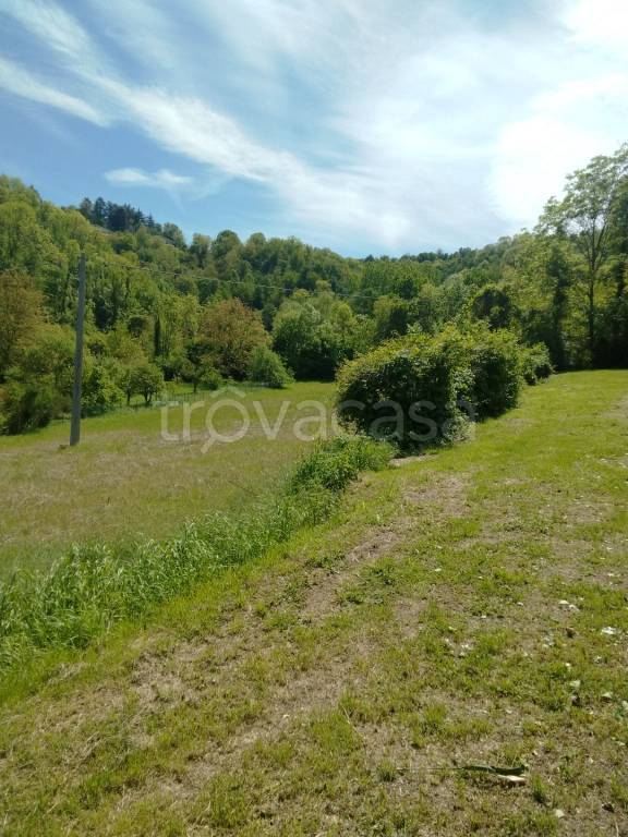 terreno agricolo in vendita a Castiglione Torinese