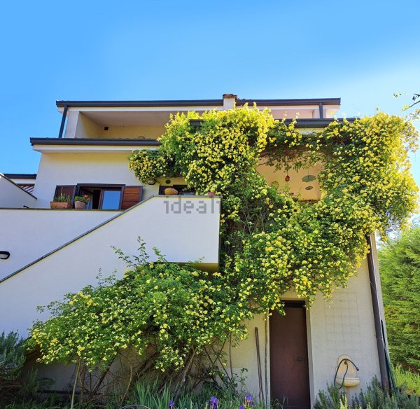 casa indipendente in vendita a Castiglione Torinese