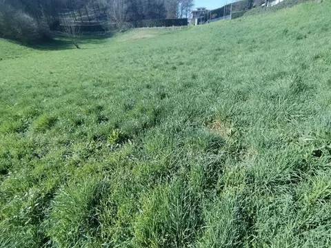 terreno edificabile in vendita a Castiglione Torinese in zona San Martino