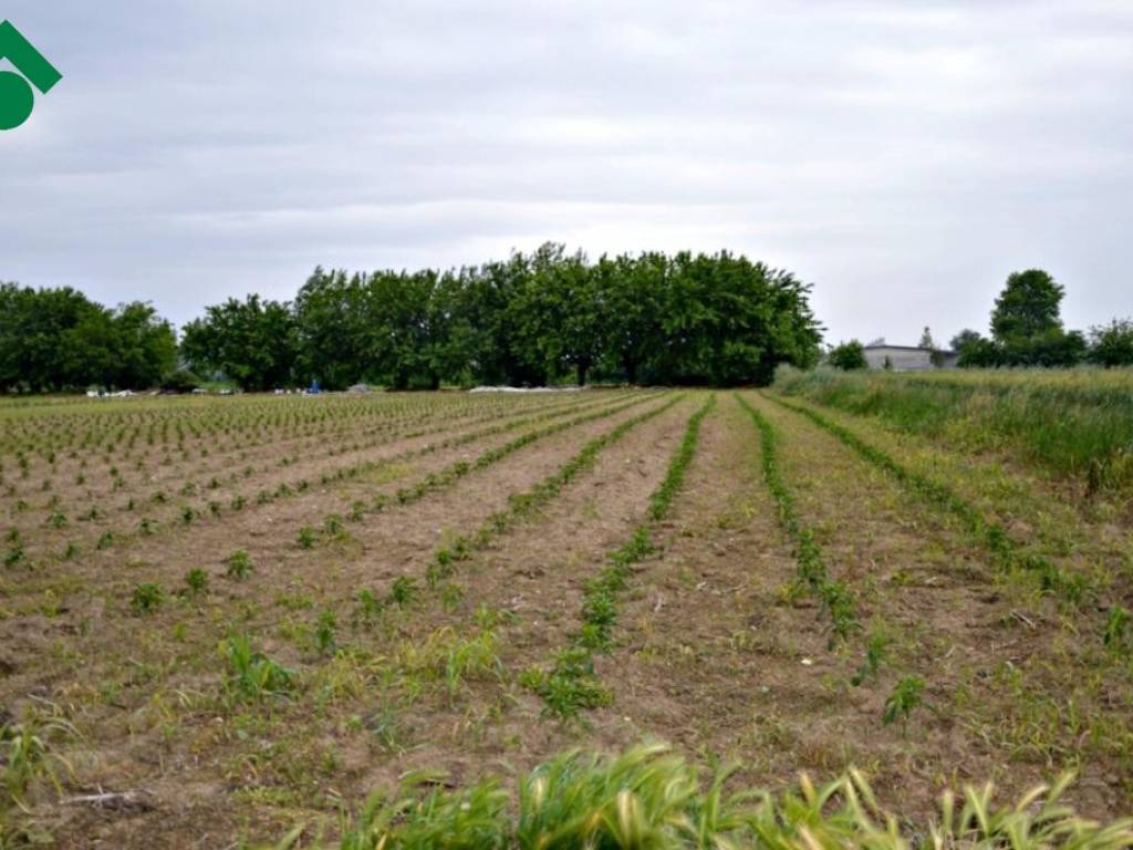 terreno agricolo in vendita a Leno in zona Castelletto