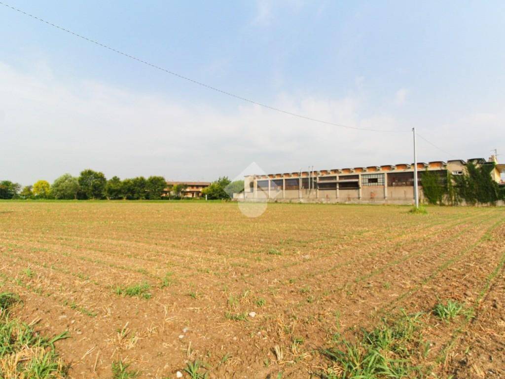 terreno agricolo in vendita a Leno