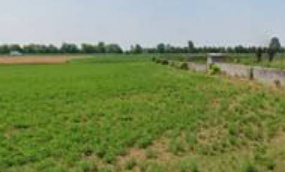 terreno agricolo in vendita a Leno