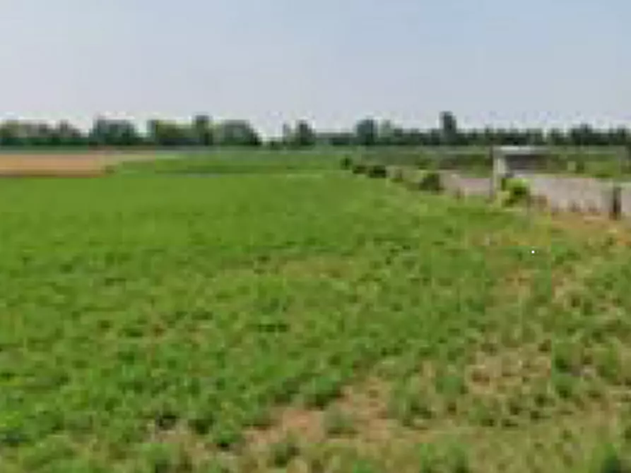 terreno agricolo in vendita a Leno