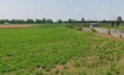 terreno agricolo in vendita a Leno