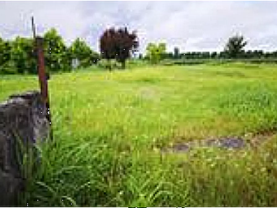 terreno agricolo in vendita a Leno