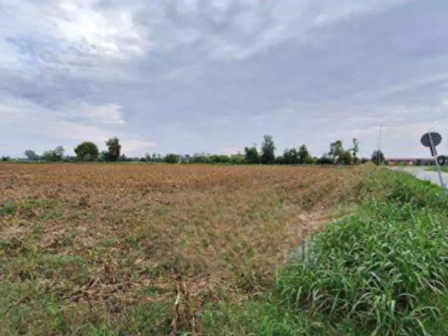 terreno agricolo in vendita a Leno
