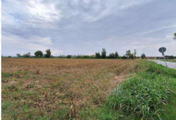 terreno agricolo in vendita a Leno