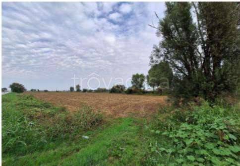 appartamento in vendita a Leno