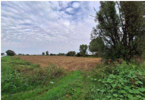 terreno agricolo in vendita a Leno