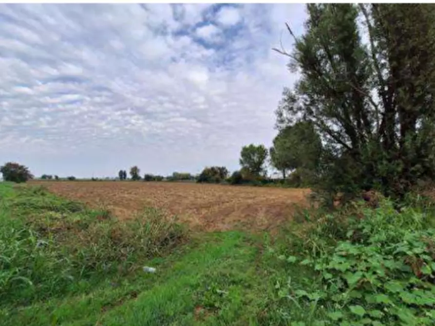 terreno agricolo in vendita a Leno