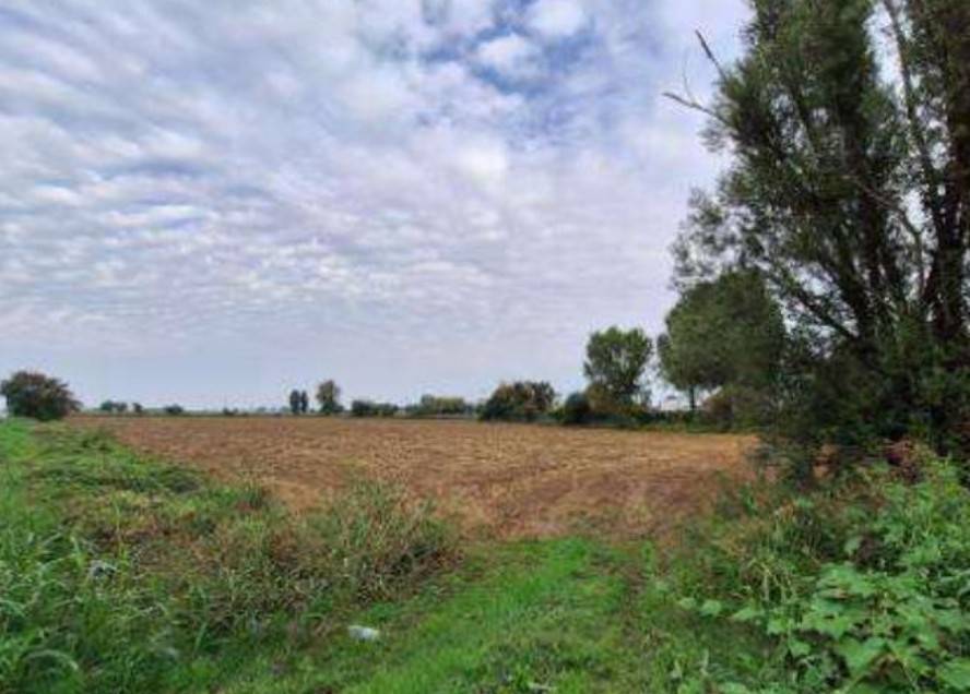 terreno agricolo in vendita a Leno in zona Porzano