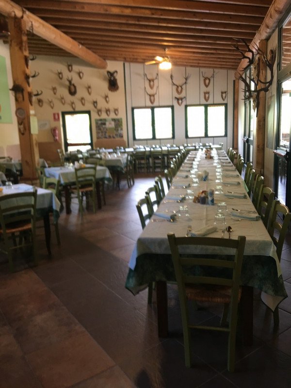 negozio in vendita a Lodrino