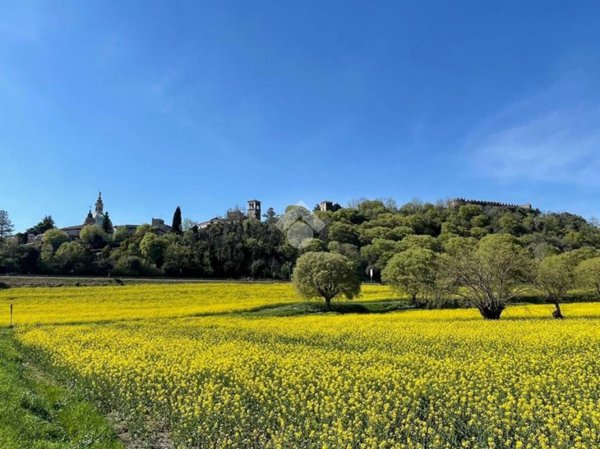appartamento in vendita a Lonato del Garda