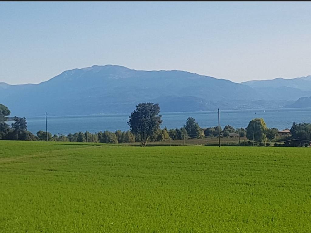 terreno agricolo in vendita a Lonato del Garda