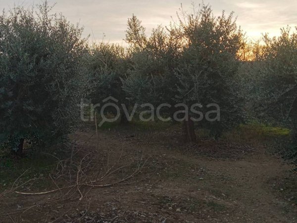 terreno agricolo in vendita a Lonato del Garda in zona San Cipriano