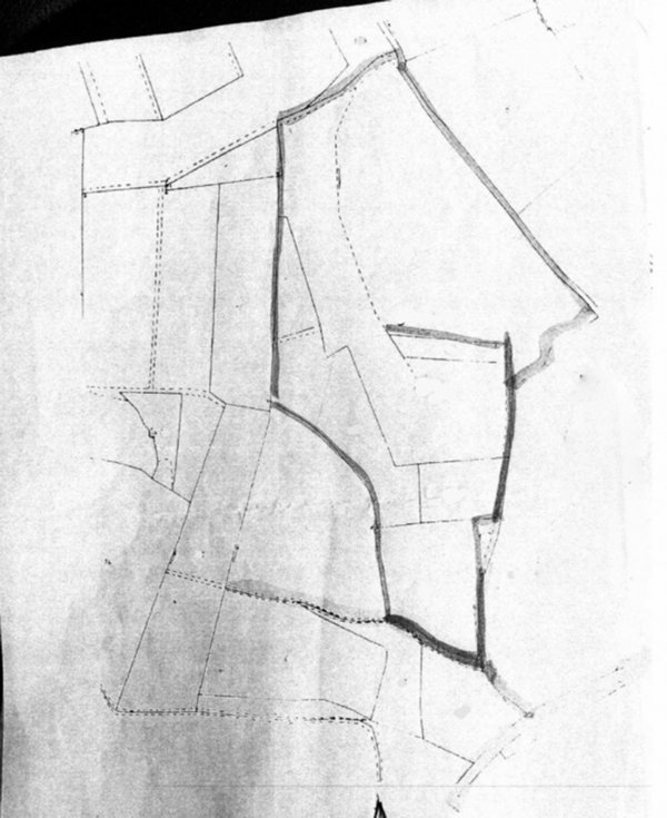 terreno agricolo in vendita a Lonato del Garda