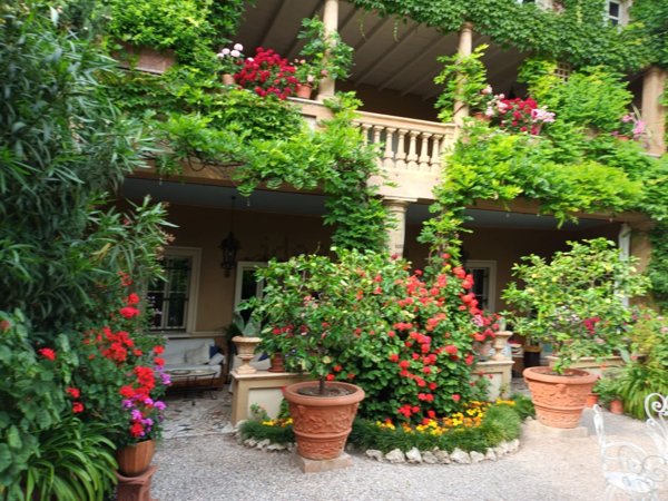 esavano in vendita a Lonato del Garda