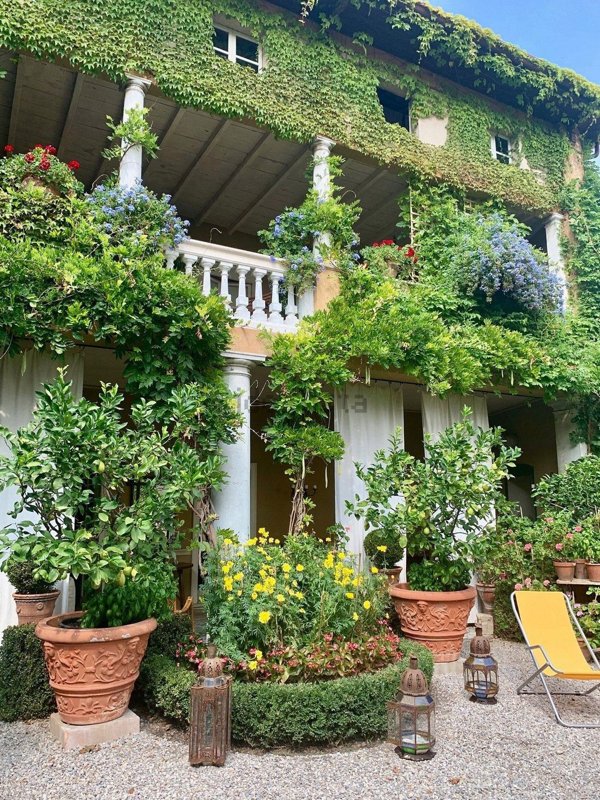 esavano in vendita a Lonato del Garda