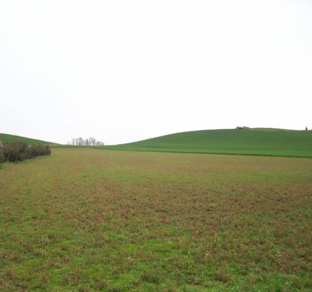 terreno agricolo in vendita a Lonato del Garda