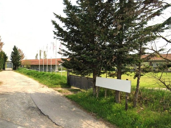 azienda agricola in vendita a Lonato del Garda