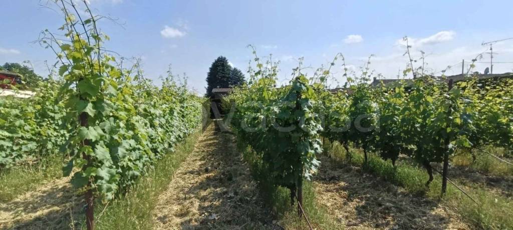 terreno agricolo in vendita a Lonato del Garda in zona Esenta
