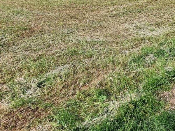 terreno edificabile in vendita a Lonato del Garda
