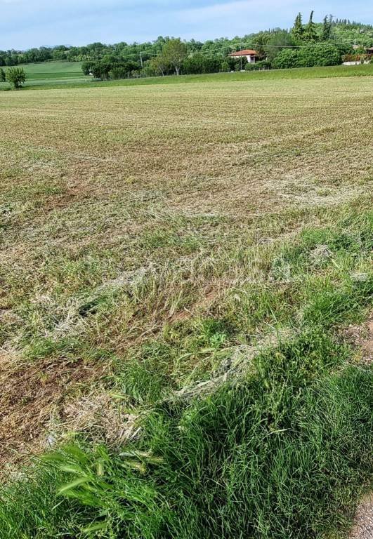 terreno edificabile in vendita a Lonato del Garda in zona Sedena