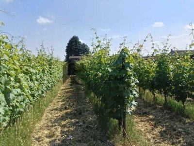 casa indipendente in vendita a Lonato del Garda in zona Esenta