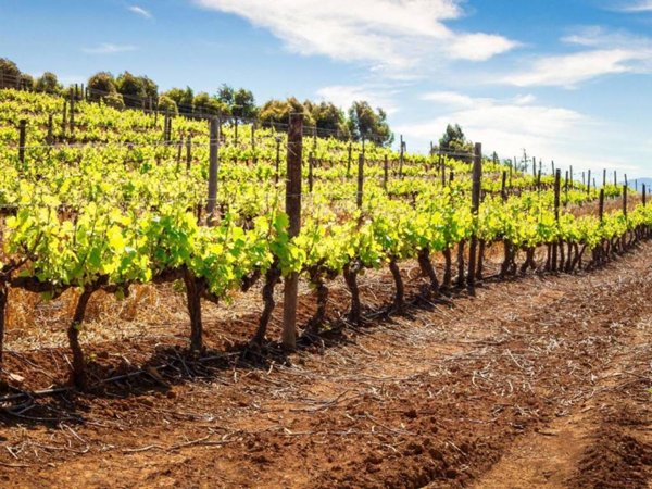 terreno agricolo in vendita a Lonato del Garda in zona Esenta