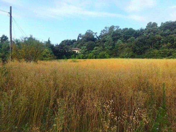 terreno agricolo in vendita a Lonato del Garda in zona Esenta
