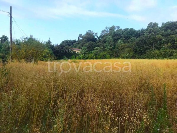 terreno agricolo in vendita a Lonato del Garda in zona Esenta