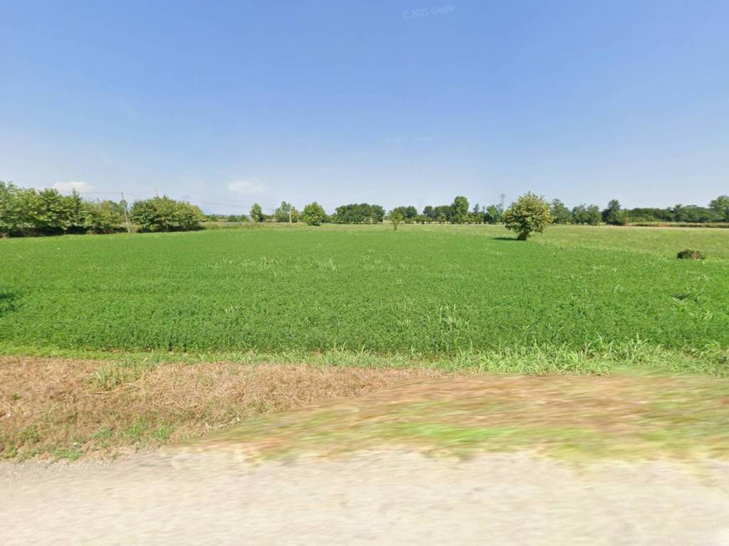 terreno agricolo in vendita a Lonato del Garda