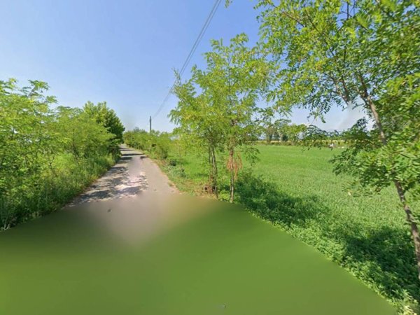 terreno agricolo in vendita a Lonato del Garda