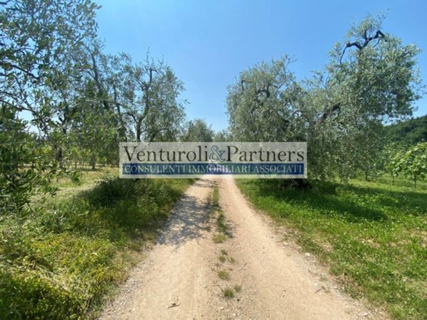terreno agricolo in vendita a Lonato del Garda