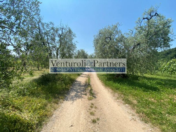 terreno agricolo in vendita a Lonato del Garda