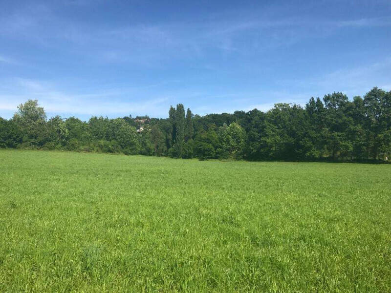 terreno agricolo in vendita a Lonato del Garda