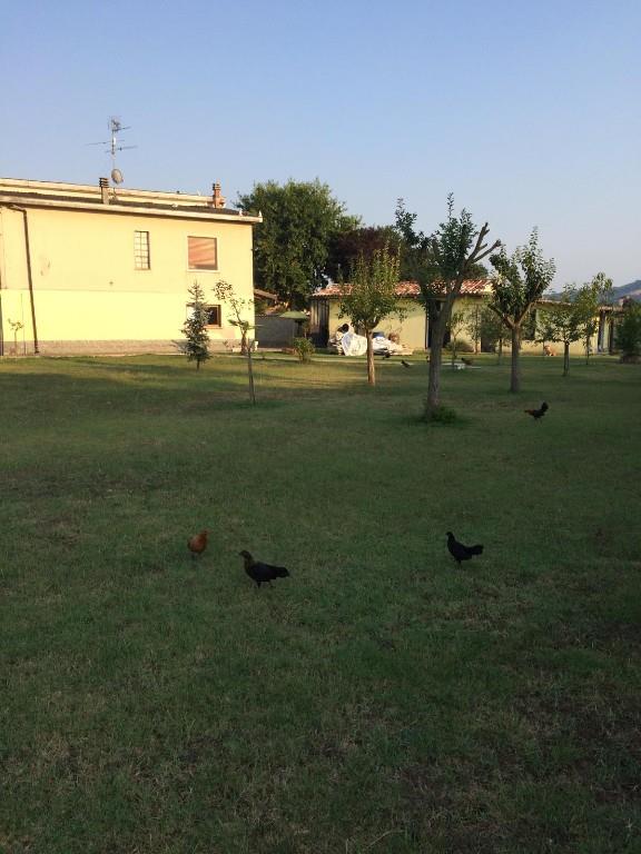 casa indipendente in vendita a Lonato del Garda