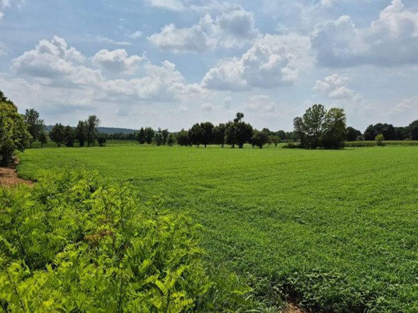terreno agricolo in vendita a Lonato del Garda
