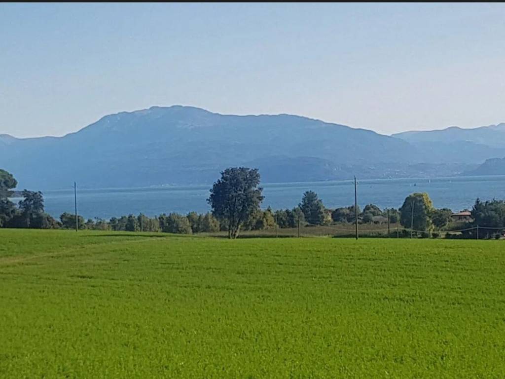 terreno agricolo in vendita a Lonato del Garda in zona Barcuzzi
