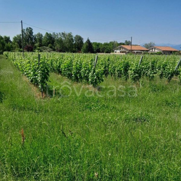terreno agricolo in vendita a Lonato del Garda in zona Castel Venzago